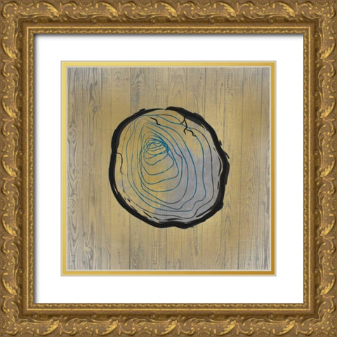 Country Minerals 2 Gold Ornate Wood Framed Art Print with Double Matting by Allen, Kimberly