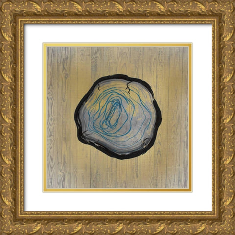 Country Minerals 3 Gold Ornate Wood Framed Art Print with Double Matting by Allen, Kimberly