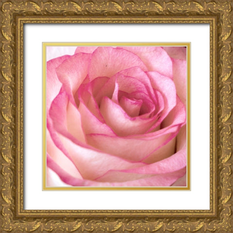 Strength Rose 2 Gold Ornate Wood Framed Art Print with Double Matting by Allen, Kimberly