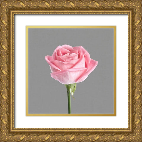 Trust Rose 3 Gold Ornate Wood Framed Art Print with Double Matting by Allen, Kimberly