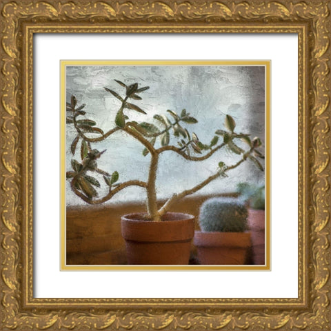 Window Planting Gold Ornate Wood Framed Art Print with Double Matting by Allen, Kimberly