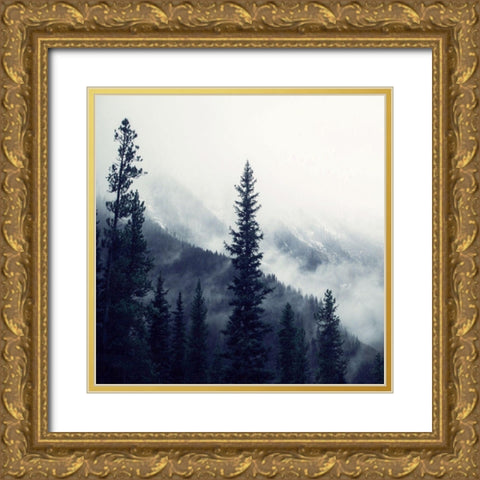 Mountain Heights 1 Gold Ornate Wood Framed Art Print with Double Matting by Allen, Kimberly
