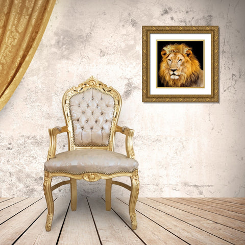 Do Not Fear 3 V2 Gold Ornate Wood Framed Art Print with Double Matting by Allen, Kimberly