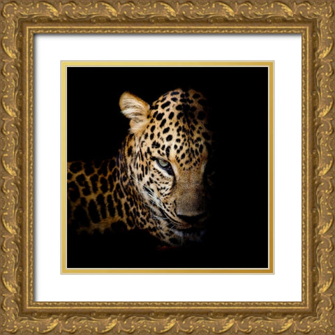 Faith Leopard 1 Gold Ornate Wood Framed Art Print with Double Matting by Allen, Kimberly