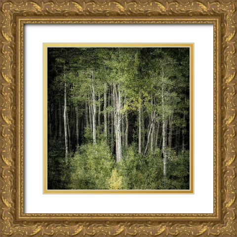 Forest Green Birches Gold Ornate Wood Framed Art Print with Double Matting by Allen, Kimberly