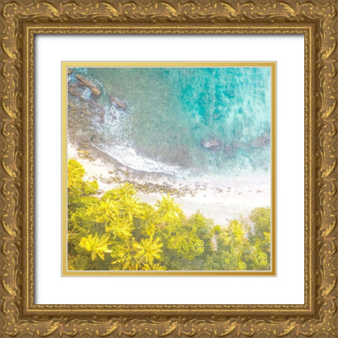 Tropic Aerial 1 Gold Ornate Wood Framed Art Print with Double Matting by Allen, Kimberly