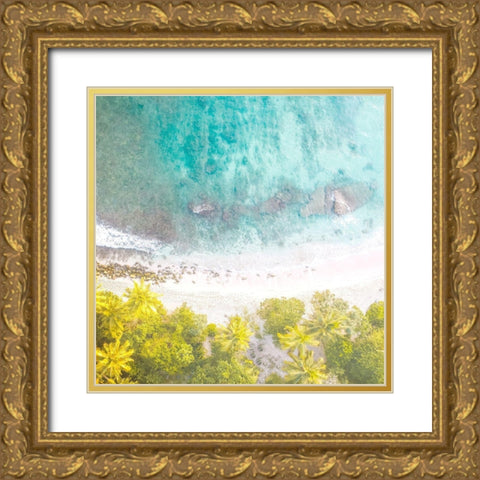 Tropic Aerial 2 Gold Ornate Wood Framed Art Print with Double Matting by Allen, Kimberly