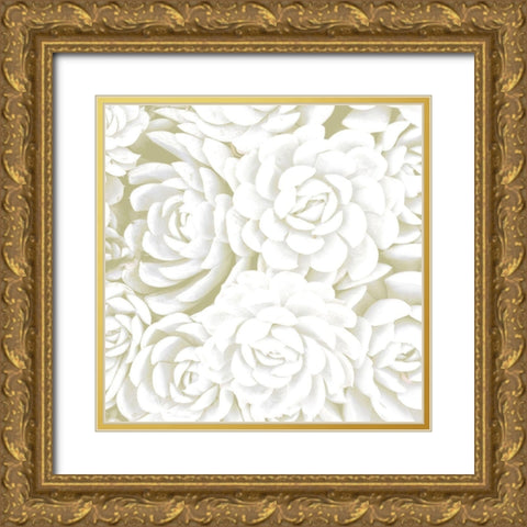 Succulent Sage 2 Gold Ornate Wood Framed Art Print with Double Matting by Allen, Kimberly