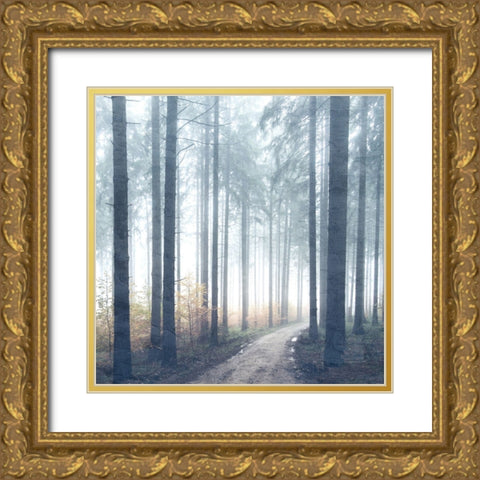 Forest Road Gold Ornate Wood Framed Art Print with Double Matting by Allen, Kimberly