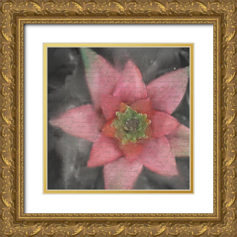 Star Bloom Gold Ornate Wood Framed Art Print with Double Matting by Kimberly, Allen