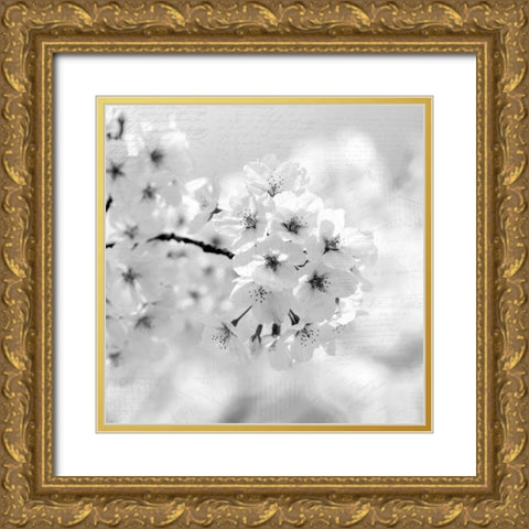 Postcard Magnolia 1 Gold Ornate Wood Framed Art Print with Double Matting by Kimberly, Allen