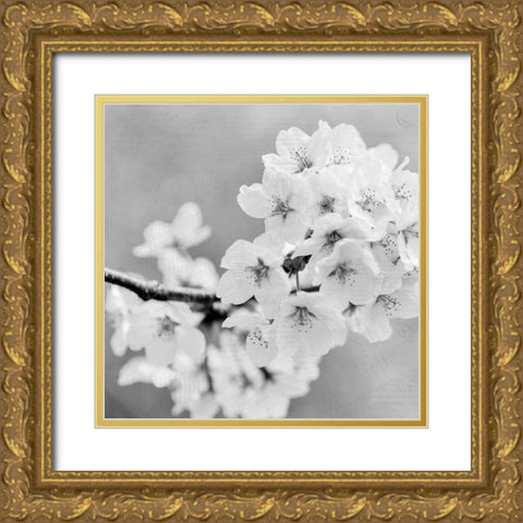 Postcard Magnolia 3 Gold Ornate Wood Framed Art Print with Double Matting by Kimberly, Allen
