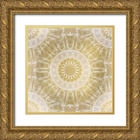 Metallic Medallion Gold Ornate Wood Framed Art Print with Double Matting by Kimberly, Allen