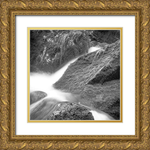 Over the Rocks 3 Gold Ornate Wood Framed Art Print with Double Matting by Kimberly, Allen