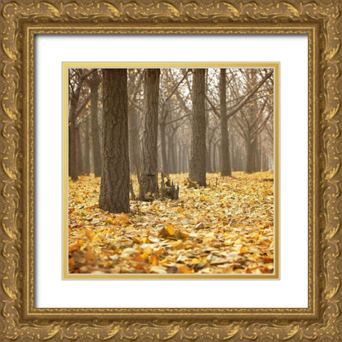 Forest Floor 1 Gold Ornate Wood Framed Art Print with Double Matting by Kimberly, Allen