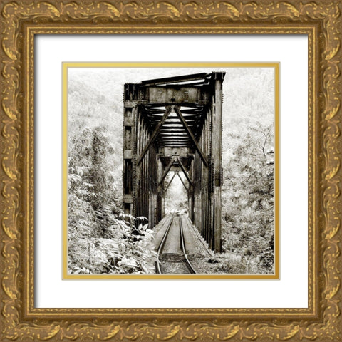 Along the Tracks 1 Gold Ornate Wood Framed Art Print with Double Matting by Kimberly, Allen