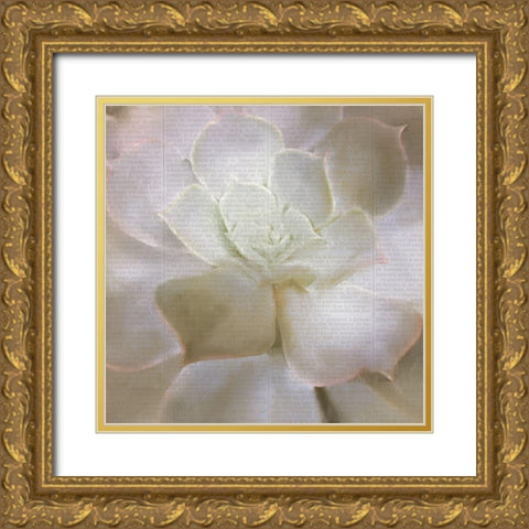 Newspaper Succulent 3 Gold Ornate Wood Framed Art Print with Double Matting by Kimberly, Allen