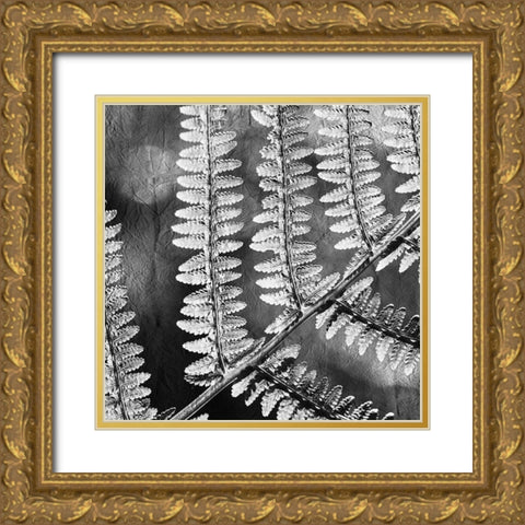 Silver Fern 1 Gold Ornate Wood Framed Art Print with Double Matting by Kimberly, Allen