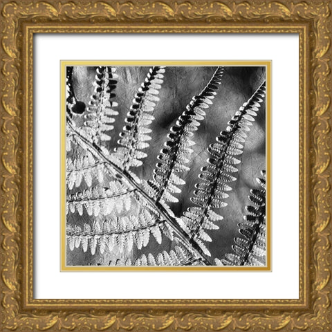 Silver Fern 2 Gold Ornate Wood Framed Art Print with Double Matting by Kimberly, Allen