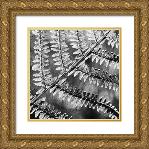 Silver Fern 3 Gold Ornate Wood Framed Art Print with Double Matting by Kimberly, Allen