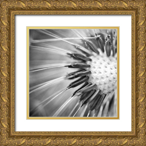 Upclose 1 Gold Ornate Wood Framed Art Print with Double Matting by Kimberly, Allen