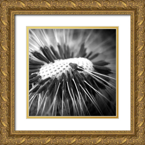 Upclose 2 Gold Ornate Wood Framed Art Print with Double Matting by Kimberly, Allen