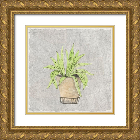 Potted Succulents 2 Gold Ornate Wood Framed Art Print with Double Matting by Kimberly, Allen