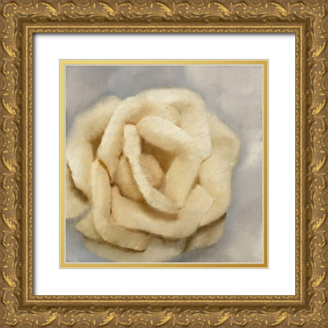 Rosa 1 Gold Ornate Wood Framed Art Print with Double Matting by Kimberly, Allen