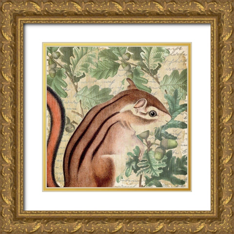 Chipmunk Square 1 Gold Ornate Wood Framed Art Print with Double Matting by Kimberly, Allen
