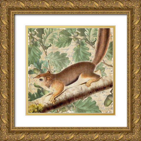 Chipmunk Square 2 Gold Ornate Wood Framed Art Print with Double Matting by Kimberly, Allen