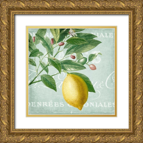 Lemon Drop 1 Gold Ornate Wood Framed Art Print with Double Matting by Kimberly, Allen