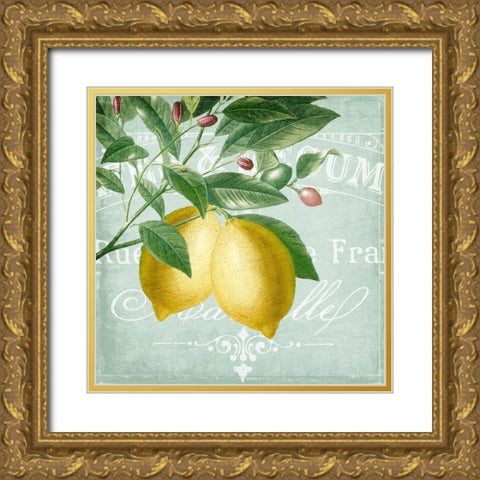 Lemon Drop 2 Gold Ornate Wood Framed Art Print with Double Matting by Kimberly, Allen