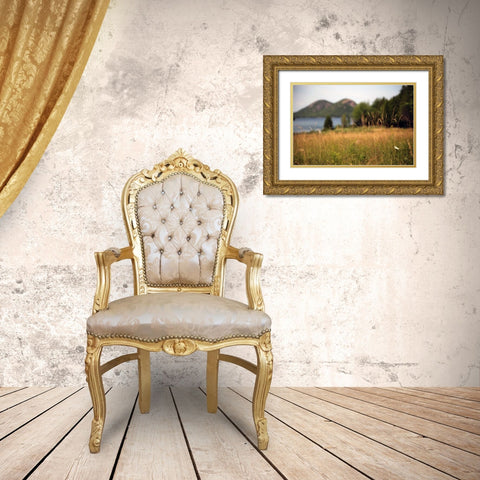 Grassy Field 1 Gold Ornate Wood Framed Art Print with Double Matting by Colberg, Lisa