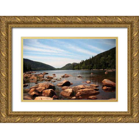 Cold River 1 Gold Ornate Wood Framed Art Print with Double Matting by Colberg, Lisa