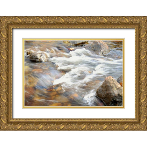 In Motion 2 Gold Ornate Wood Framed Art Print with Double Matting by Grey, Jace
