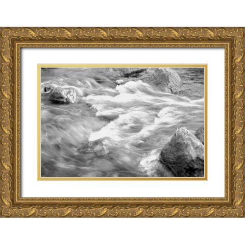 In Motion BW 2B Gold Ornate Wood Framed Art Print with Double Matting by Grey, Jace