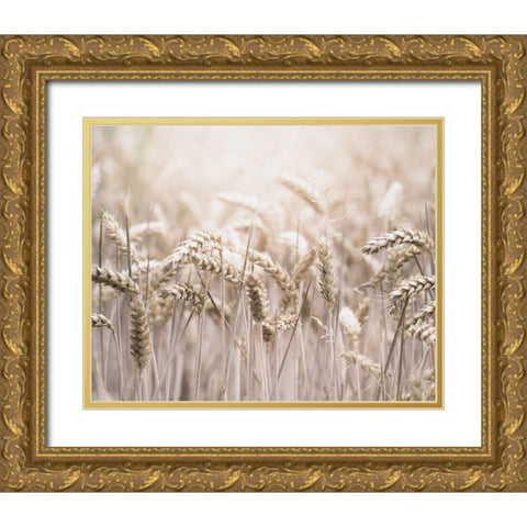 Mute Wheat Field Gold Ornate Wood Framed Art Print with Double Matting by Straatsma, Leah