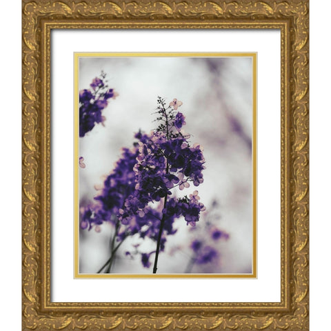 Purple Dried Hydrangea Gold Ornate Wood Framed Art Print with Double Matting by Straatsma, Leah