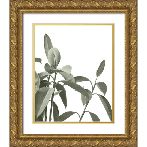Pale Green Leaves Gold Ornate Wood Framed Art Print with Double Matting by Straatsma, Leah