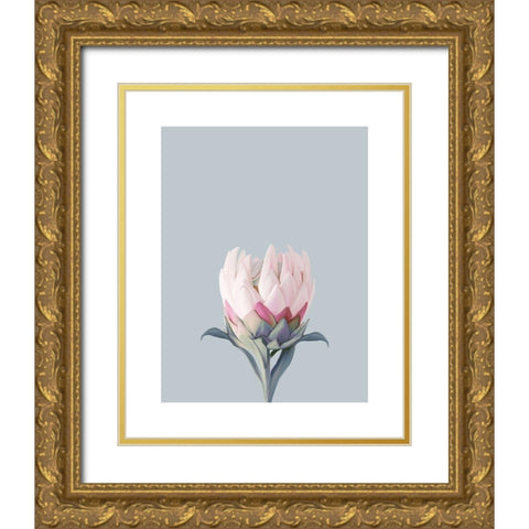 King Protea Plant Gold Ornate Wood Framed Art Print with Double Matting by Straatsma, Leah