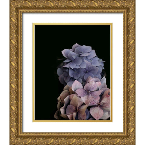 Moody Hydrangeas Gold Ornate Wood Framed Art Print with Double Matting by Straatsma, Leah