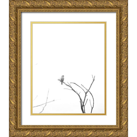 Bleached Branch and Bird Gold Ornate Wood Framed Art Print with Double Matting by Straatsma, Leah