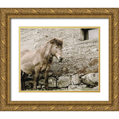 Brown Horse Rock Barn Gold Ornate Wood Framed Art Print with Double Matting by Straatsma, Leah