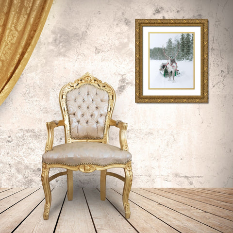 Reindeer and Sled Gold Ornate Wood Framed Art Print with Double Matting by Straatsma, Leah