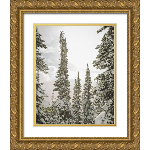 Snow Covered PInes Gold Ornate Wood Framed Art Print with Double Matting by Straatsma, Leah