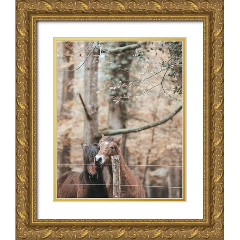 Best Friend Brown Horses Gold Ornate Wood Framed Art Print with Double Matting by Straatsma, Leah