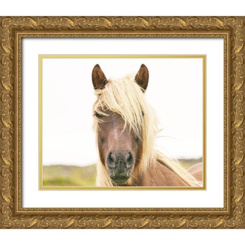 Pretty Horse Gold Ornate Wood Framed Art Print with Double Matting by Straatsma, Leah