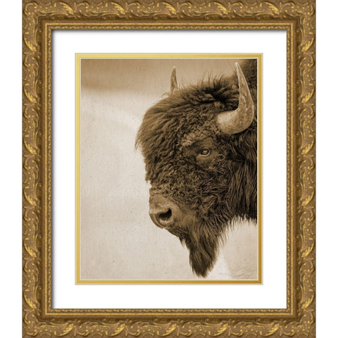 Textured Bison Gold Ornate Wood Framed Art Print with Double Matting by Straatsma, Leah
