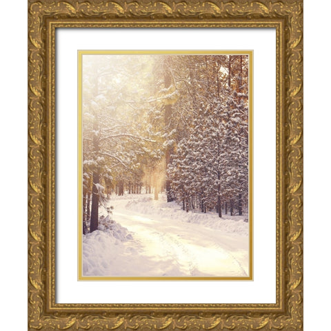 Magical Winter Path Gold Ornate Wood Framed Art Print with Double Matting by Straatsma, Leah