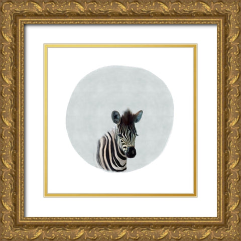 Baby Zebra Gray Gold Ornate Wood Framed Art Print with Double Matting by Straatsma, Leah
